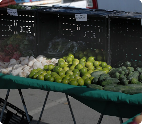 Move In/Out Cleaning